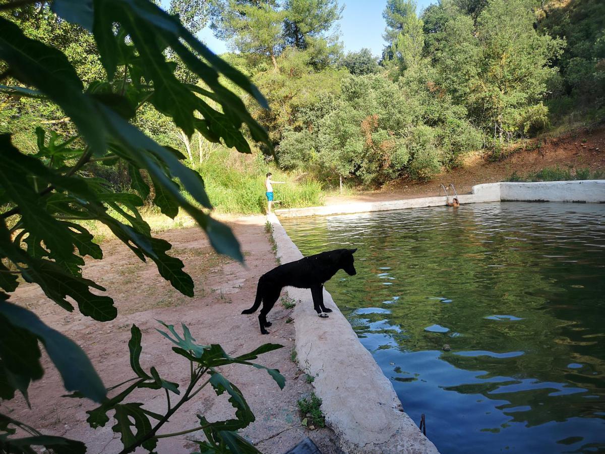 La Rejertilla El Burgo Zewnętrze zdjęcie
